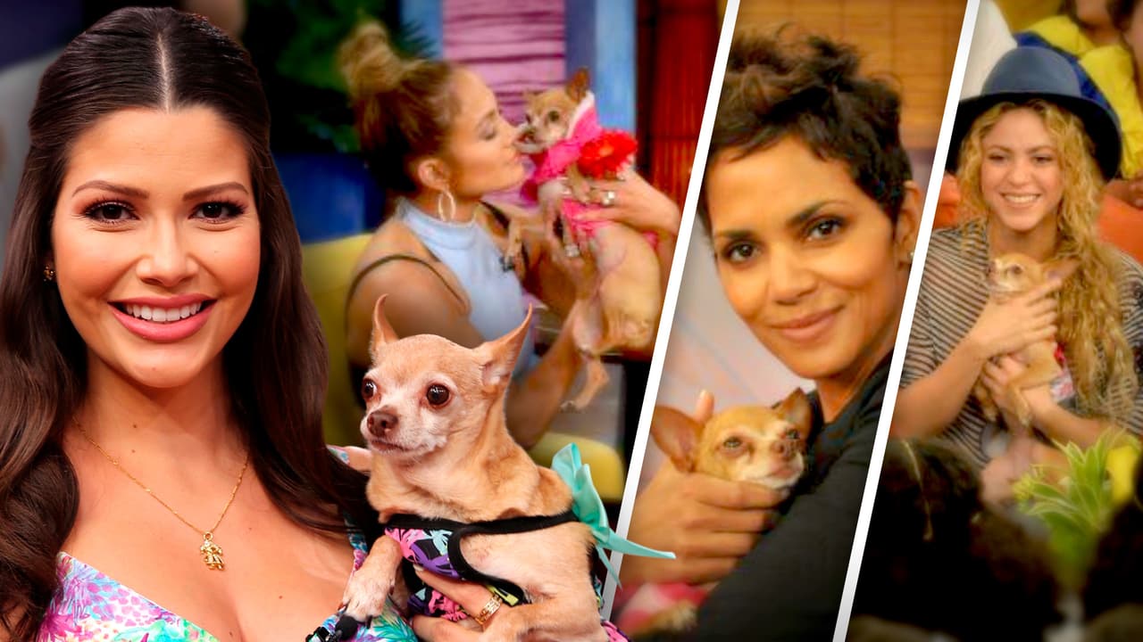 Muere Honey Berry, la perrita de Ana Patricia que conquistó el corazón de varios famosos