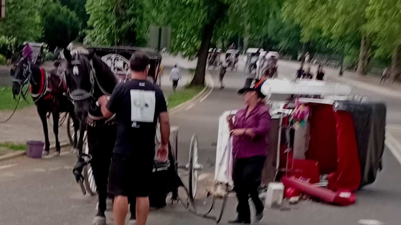 Muere adolescente en Central Park tras accidente en carruaje turístico