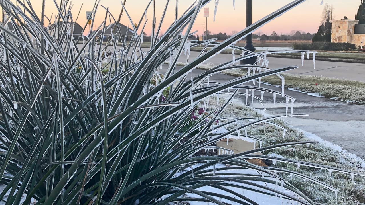 El 15 de febrero Houston registró
<b><a href="https://twitter.com/NWSHouston/status/1361465315213869059" target="_blank">temperaturas de 10ºF</a></b>, y en algunas ciudades aledañas el termómetro bajó hasta 1ºF, cifras que no se habían visto en la región en 30 años.