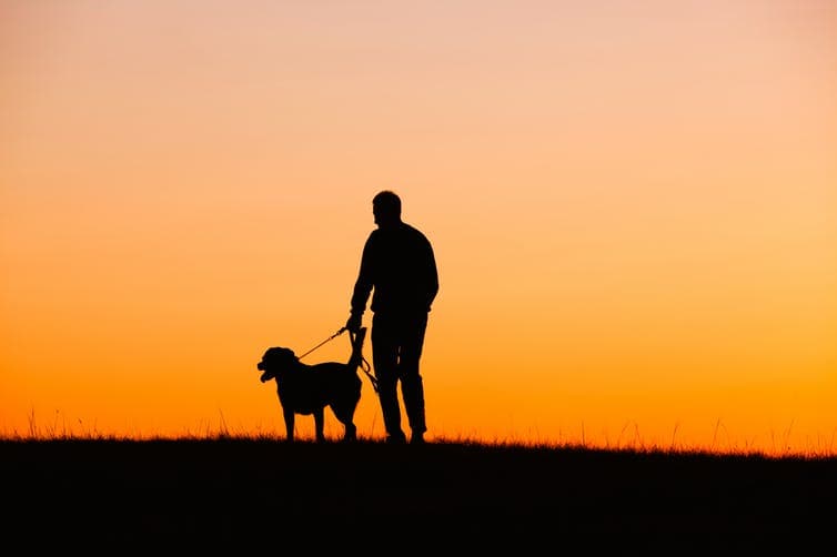 Los perros forman parte de las rutinas de sus dueños, lo que hace que su pérdida sea aún más estresante.