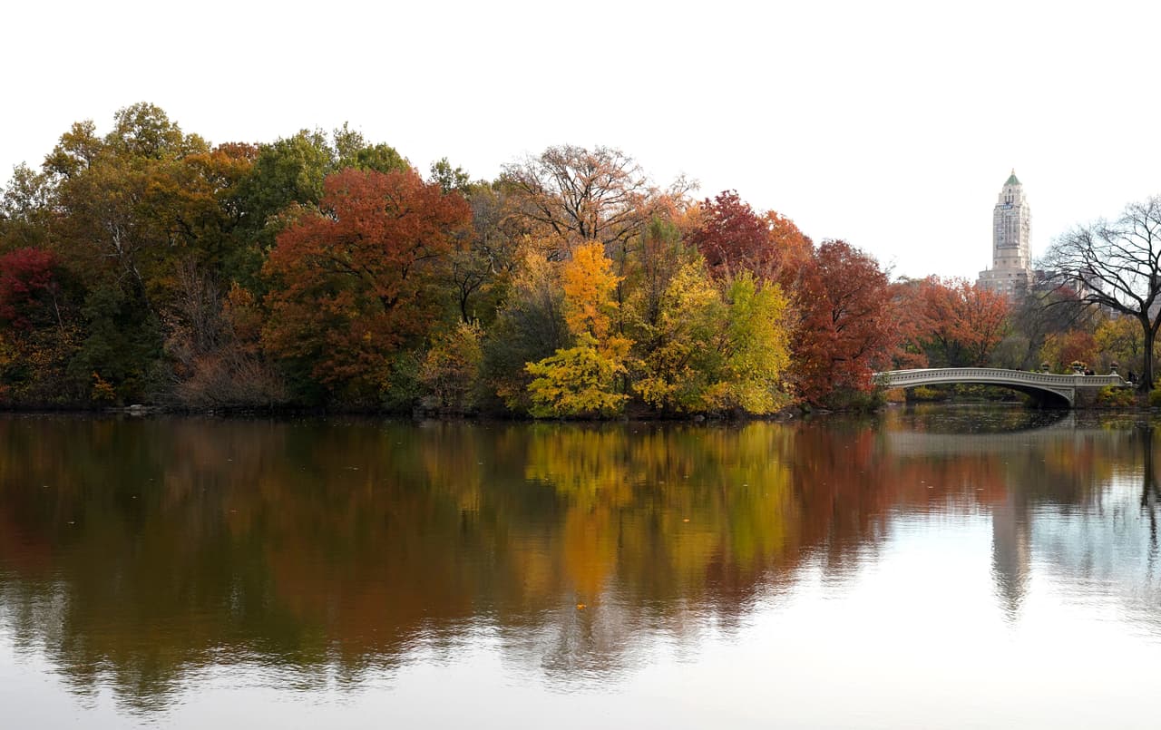 Los amantes de la naturaleza tal vez se dieron cuenta que este año los colores rojizos del otoño se tardaron en aparecer, y las hojas de los árboles están también retrasándose para caer.