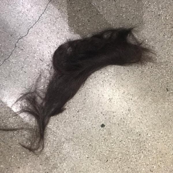 La actriz compartió en su cuenta de Instagram esta fotografía para despedirse de él: "Bye".