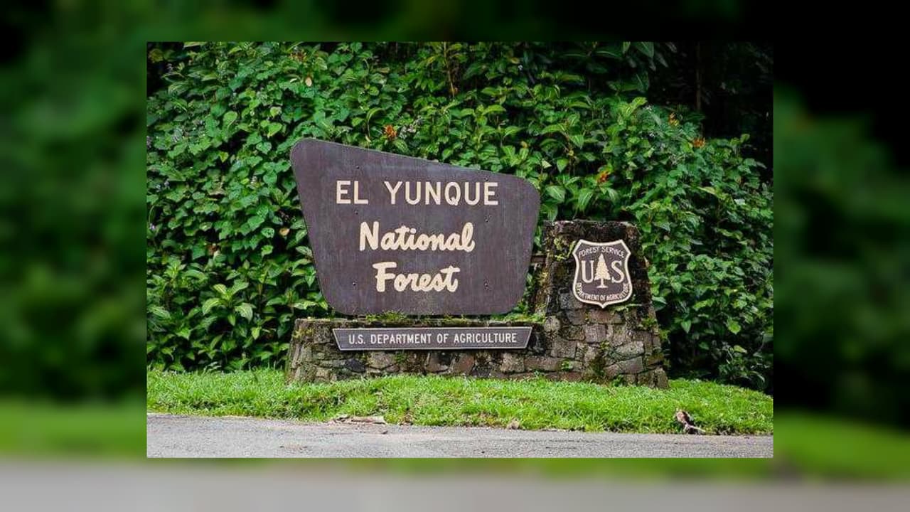 Denuncian mal estado en carretera hacia El Yunque