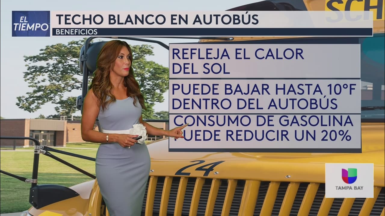 Calor extremo continuará por varios días en la Bahía de Tampa