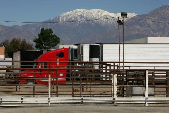 Chino, CA - 58 por ciento de población hispana | Índice de graduación de preparatoria: 98 por ciento. Esta ciudad se enfoca en trabajar con los problemas de salud y seguridad de sus jóvenes proveyéndoles comunidades seguras para los peatones, acceso a alimentos sanos y frescos, a vacunas, y el uso de una clínica móbil para tratar a los jóvenes con asma y bronquitis. Chino también tiene un programa para asesorar a madres y padres adolescentes y para mantenerlos en la escuela.