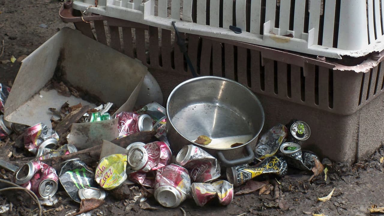 “Ningún animal merece vivir en las condiciones deplorables que estos perros tuvieron que soportar”, indicó Whitney Rasberry, asistente del fiscal de distrito, de la unidad de crueldad contra los animales.