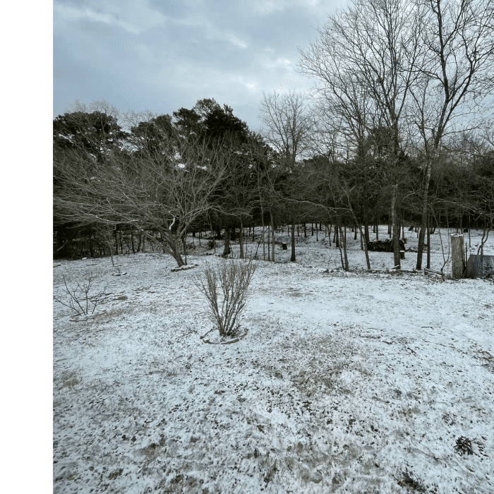 La tormenta invernal trajo una densa capa de nieve que cubrió la ciudad y varias zonas del centro de Texas.
<br>
<br>Usuarios de Univision enviaron las imágenes de cómo vivieron la primer nevada del 2025.