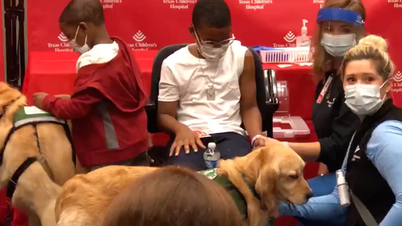 Mientras esperaban para recibir la vacuna, los dos hermanos pudieron jugar con las mascotas.