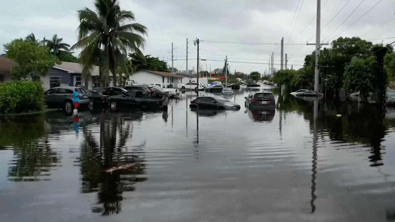 Marea del rey y lluvia: el sur de Florida se prepara para un fin de semana con posibles inundaciones