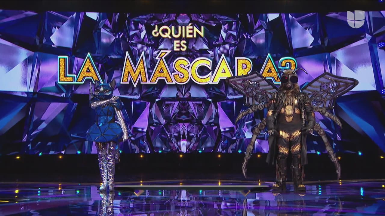 Abejorro se enfrentó a Gato. Con un veloz aleteo se fue a zona de riesgo a petición del público.