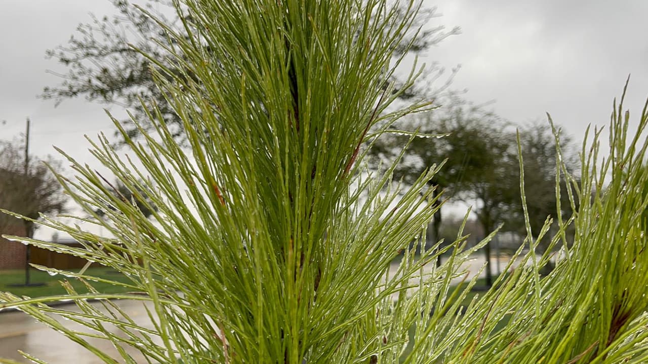 La tormenta azotó todo el estado de Texas.