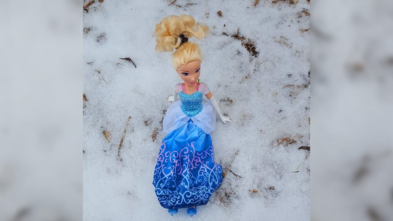 Enviada por el usuario de Facebook Efren Martínez.