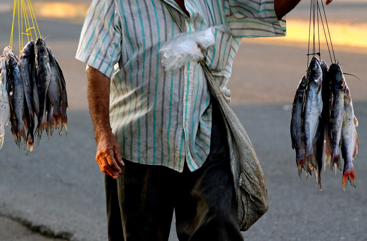 La trematodiasis ocurre cuando las personas consumen pescados, verduras y crustáceos contaminados.