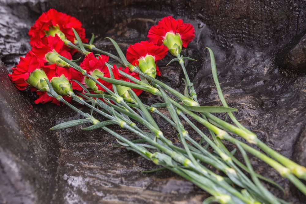 Si sientes que tu casa está impregnada de energía negativa, puedes rociar aceite o esencia de clavel por las habitaciones, como una manera de 'limpia' para deshacerte de cualquier mala vibra.