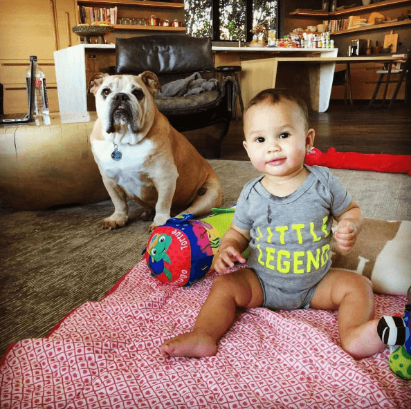 Luna está próxima a cumplir un año de edad y ya es toda una celebridad en las redes sociales de sus famosos padres, John Legend y Chrissy Teigen.