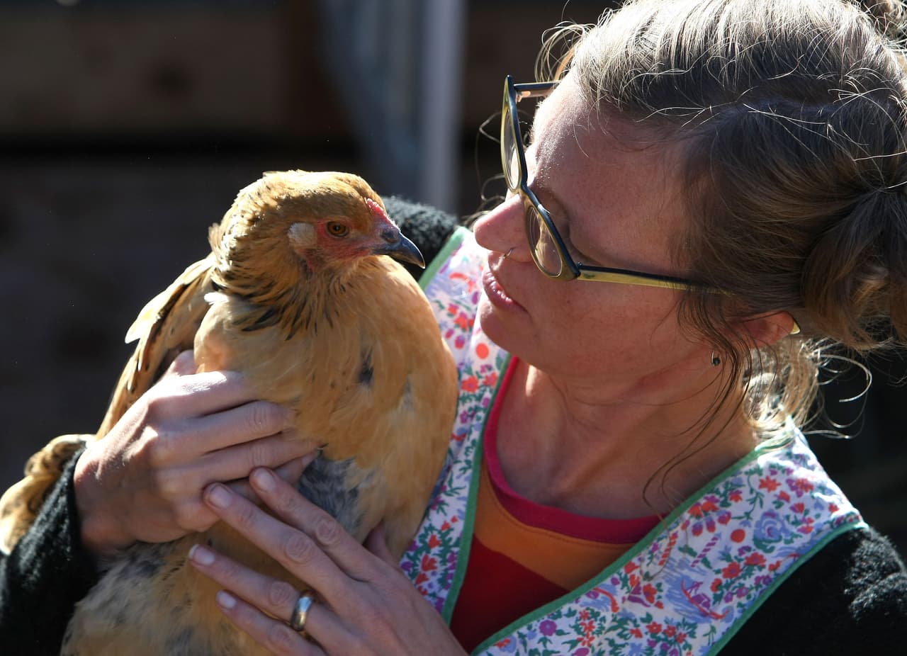 Brotes de salmonela causan tres muertos y más de 800 afectados en 48 estados este año