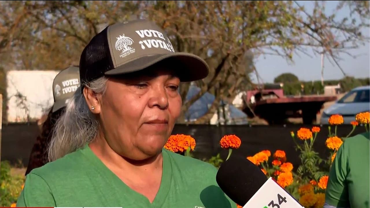 Las flores que sembraron ahora la usaran para recordar a Dolores Huerta