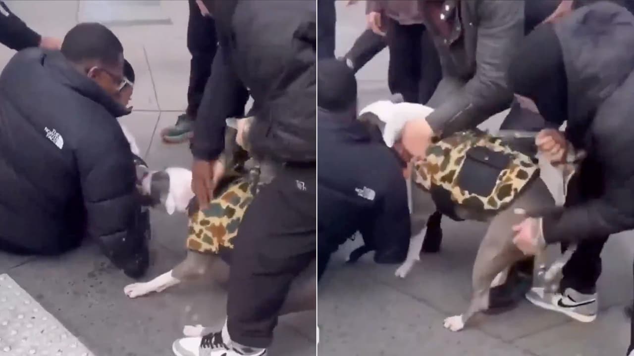 Pitbull sin correa ataca a niño de un año en plena calle cerca de Union Square.
