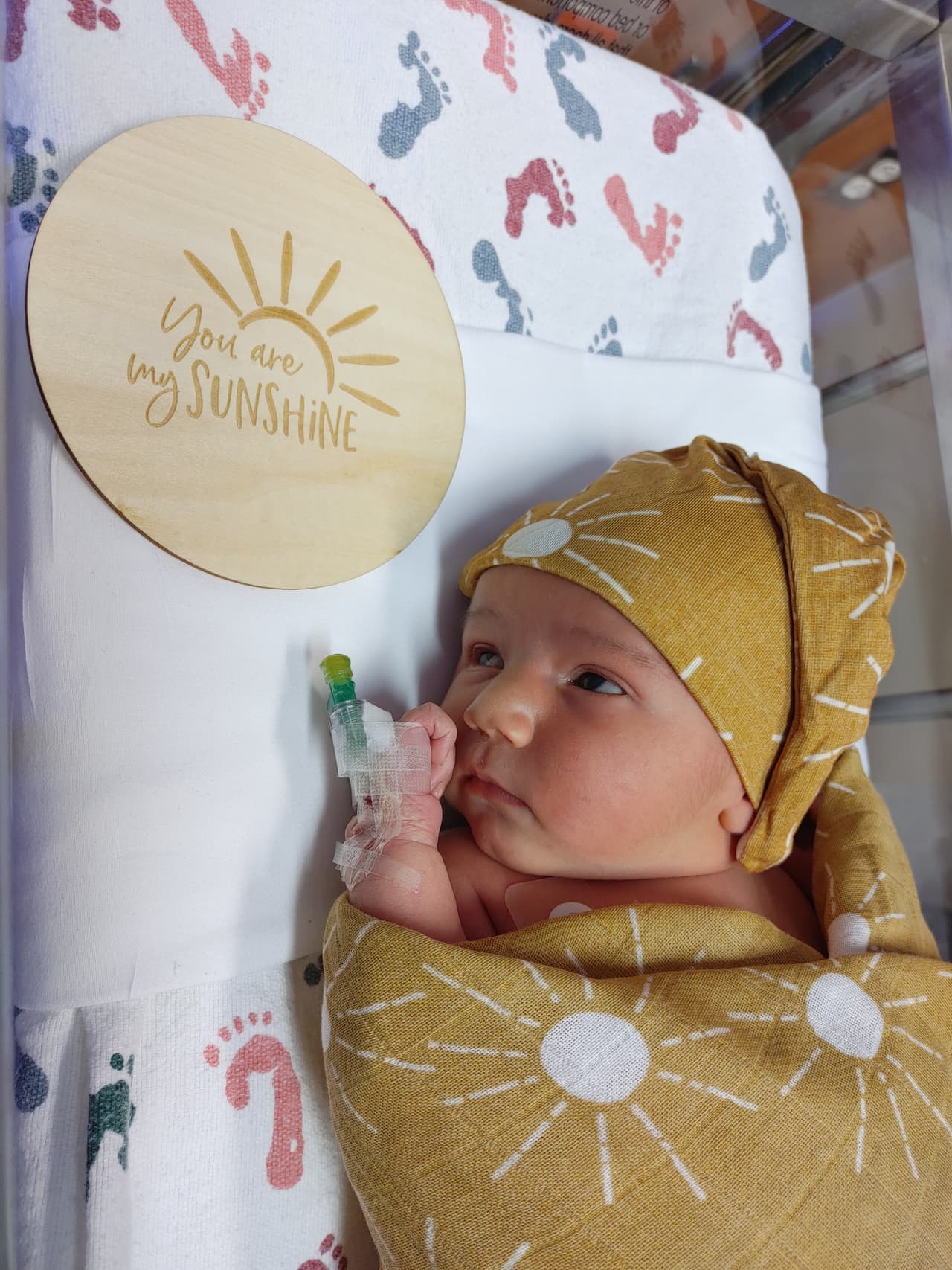 En lugar de rosas y chocolates, los padres presumieron a sus nuevos tesoros familiares. 
<br>