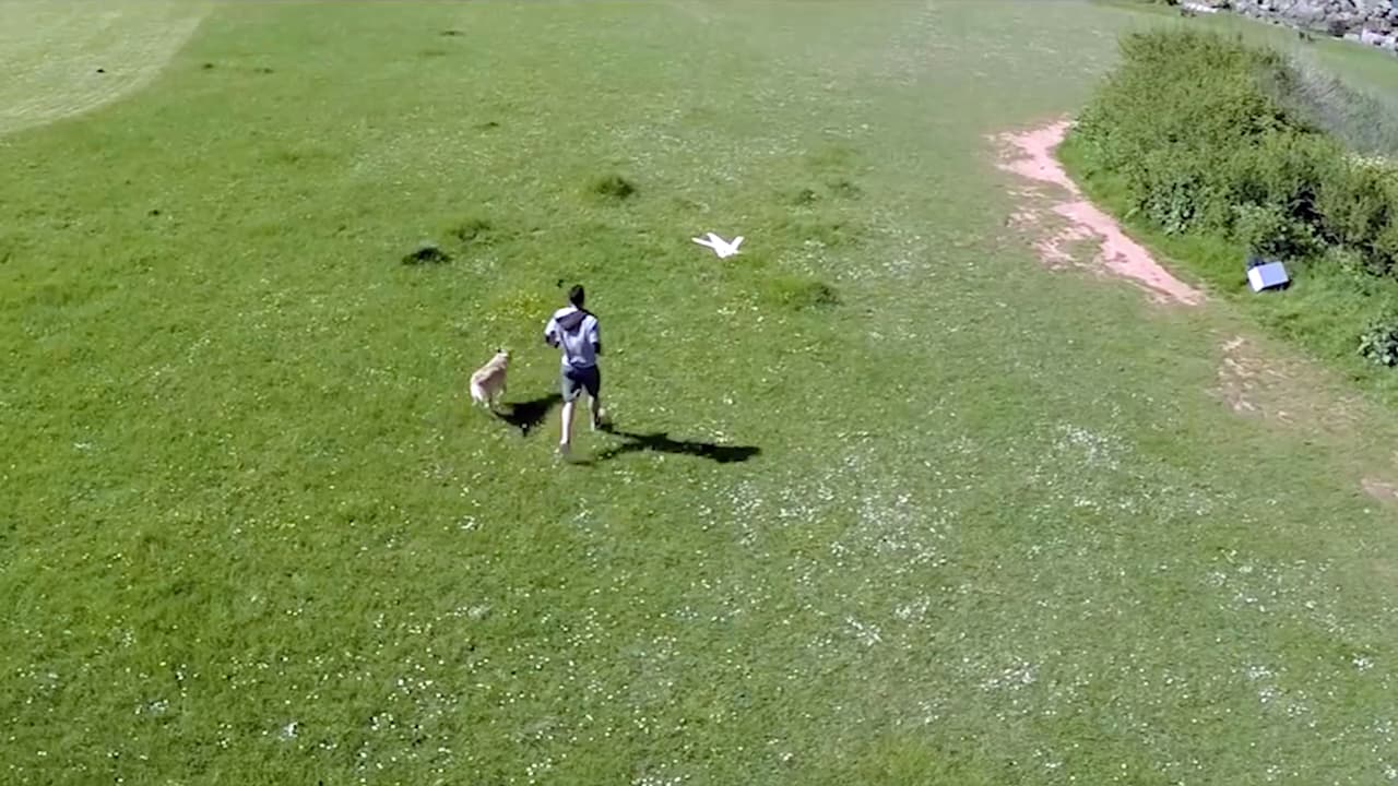 Samanta vio ahí la historia de un hombre y su perro que encontraban un mapa del tesoro.