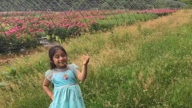 Esto es lo que se sabe de la niña Dulce María Alavez a un año de su desaparición 