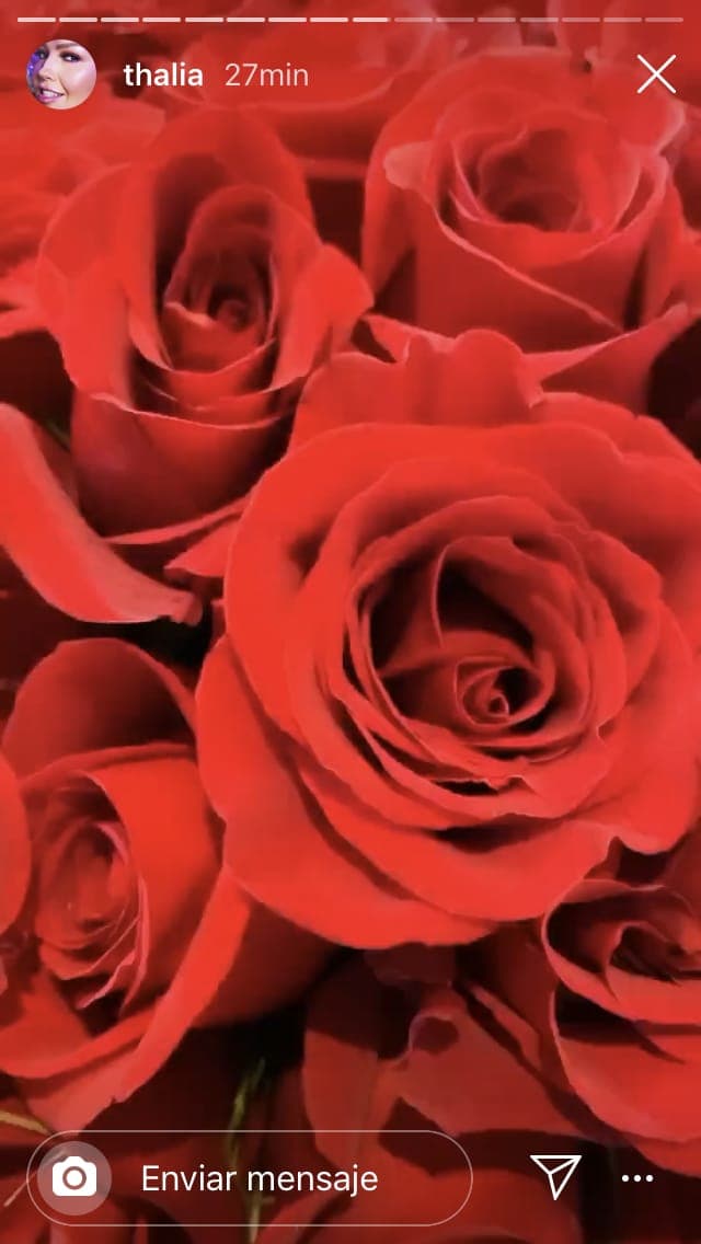 A través de sus historias en Instagram, Thalía publicó la imagen del detalle que le dio Mottola: un arreglo de rosas rojas. 
<br>