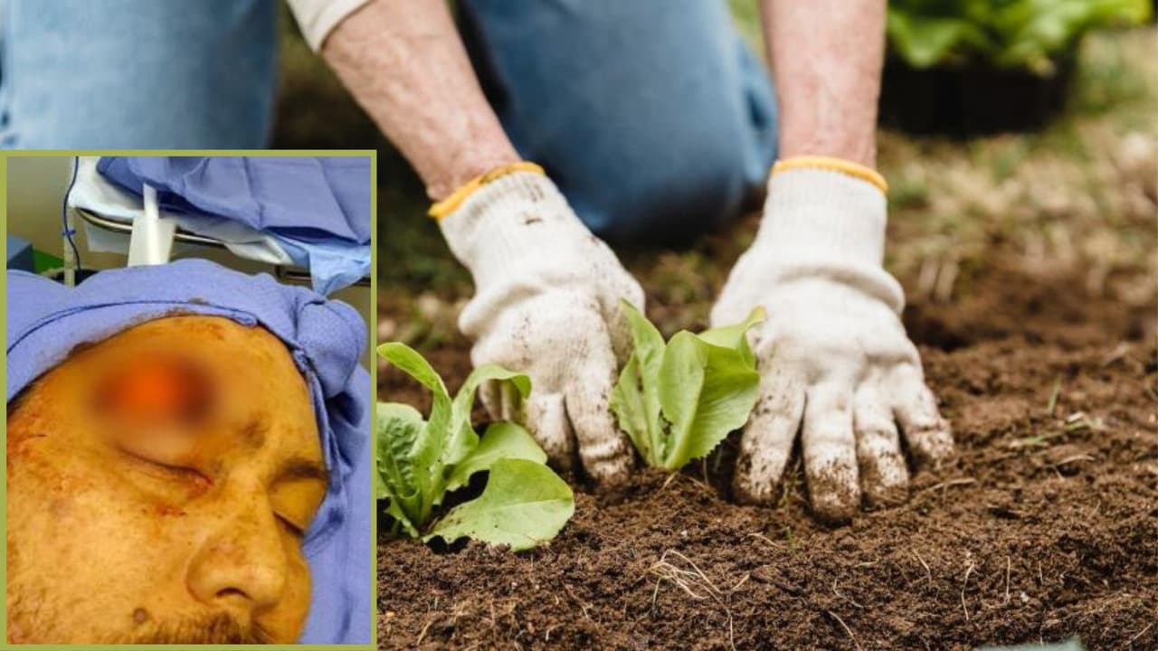 La fiebre del valle: otra amenaza de la sequía en California