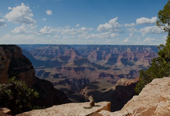 El 8º estado con más deuda por tarjeta de crédito es Colorado:
<br>• Saldo promedio de la tarjeta de crédito: $ 6,718.
<br>• Costo de vida: 3% más que el promedio.
<br>• Puntaje de crédito promedio: 688.
<br>• Número promedio de tarjetas: 3.1.