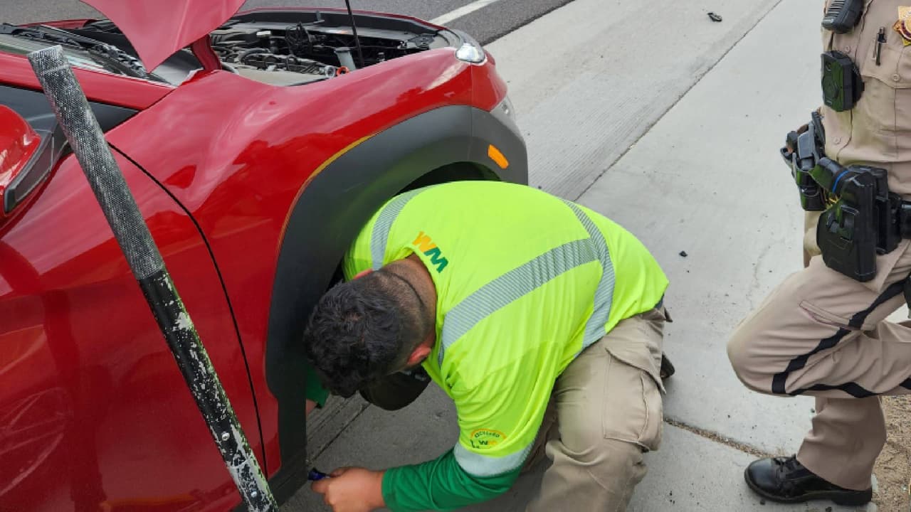 Escuchó rugir su auto, pero no era el motor… era un par de gatitos