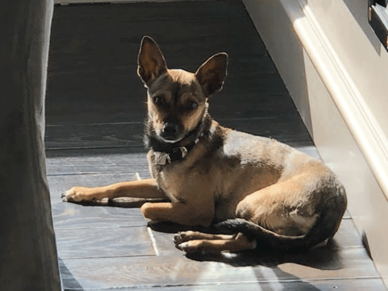 "Te amo Mamacita. Nunca seré tan feliz como lo fui contigo", le juró Manolo González a su mejor amiga.