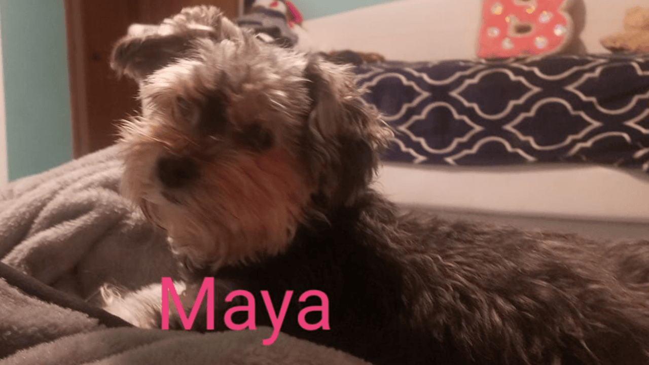 "Mi princesa Maya es tan cariñosa".