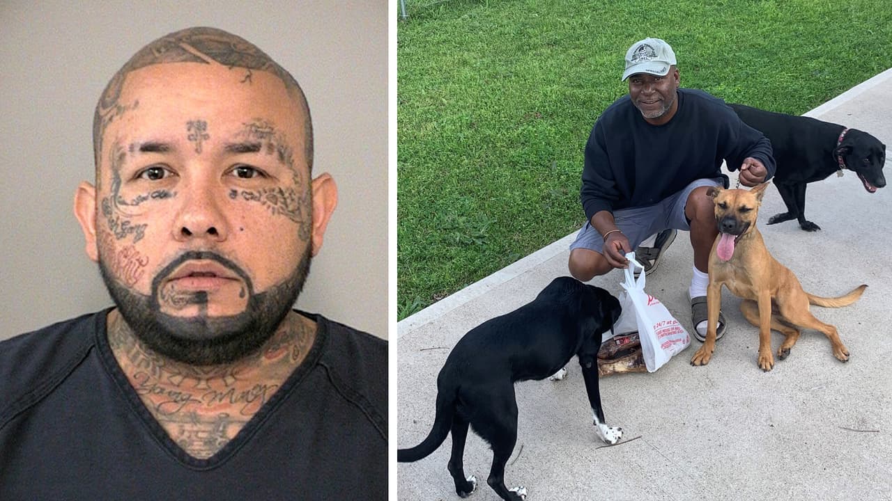 Tres perros ayudan a atrapar a un sospechoso que huía de las autoridades al suroeste de Houston