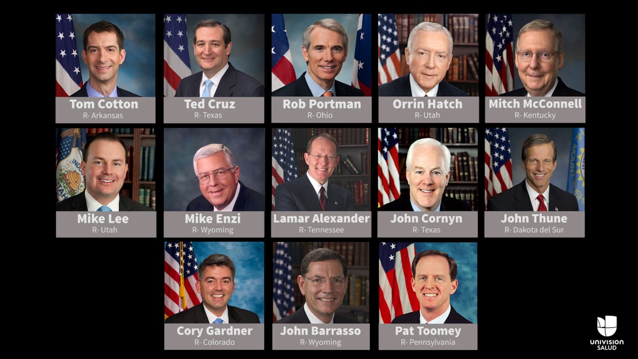 13 hombres y ninguna mujer: el grupo encargado de reescribir el proyecto de ley de salud en el Senado