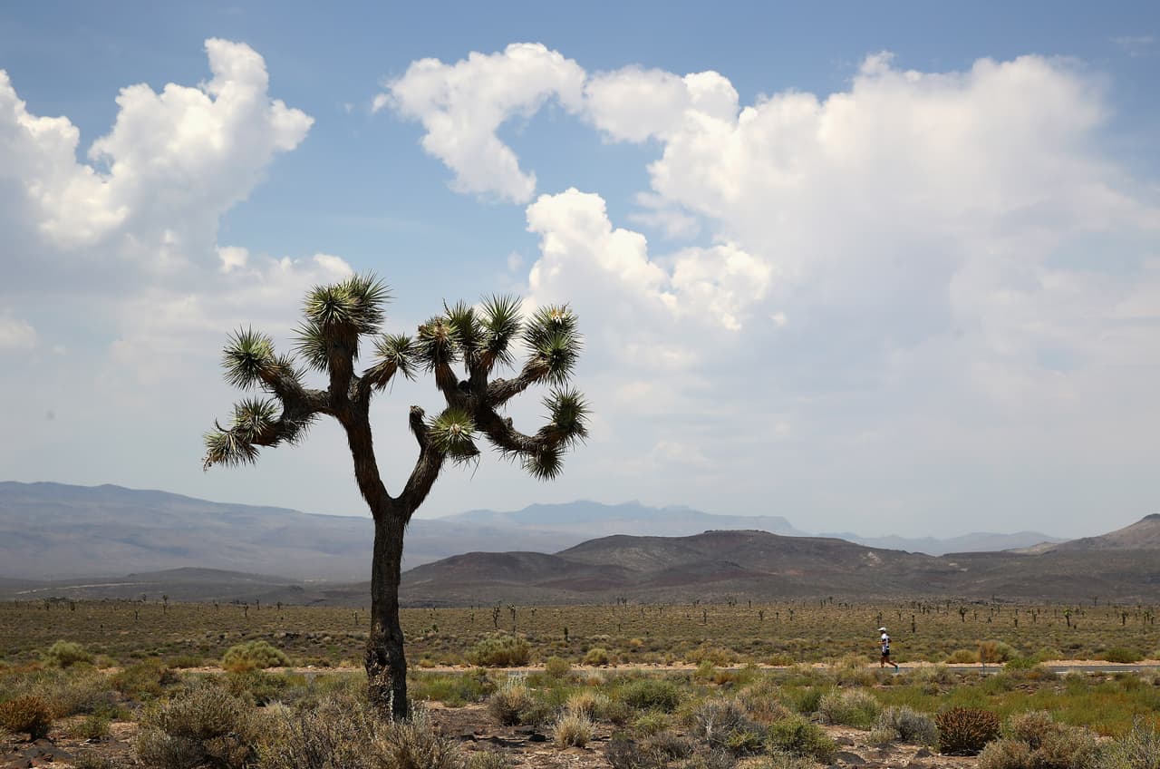<b>Death Valley, </b>Death Valley, CA, NV
<br>El Valle de la Muerte, es uno de los lugares más calurosos del mundo durante el verano, junto con los desiertos de África y de Medio Oriente. Sin embargo, está lleno de contrastes sorprendentes, ya que las montañas más altas están cubiertas de nieve, mientras que las tormentas de lluvia llenan los campos de flores silvestres.
<br>