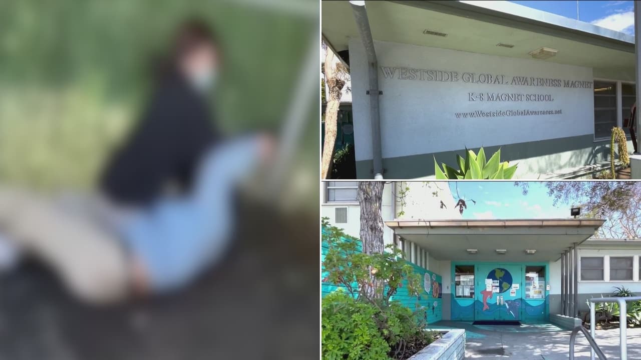 "Padres podrían asumir las consecuencias": abogado reacciona ante golpiza contra una niña, de 10 años, en escuela de Los Ángeles