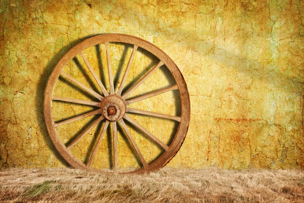 Pero además de esto, son demasiado protectores y reservados con su círculo interno. Aman con intensidad y pueden llegar a ser posesivos y celosos por ello. Son grandes soñadores y con un alto sentido de la ayuda social hacia los más desprotegidos. Sus cualidades de liderazgo son evidentes pero deben tratar de no alienarles.