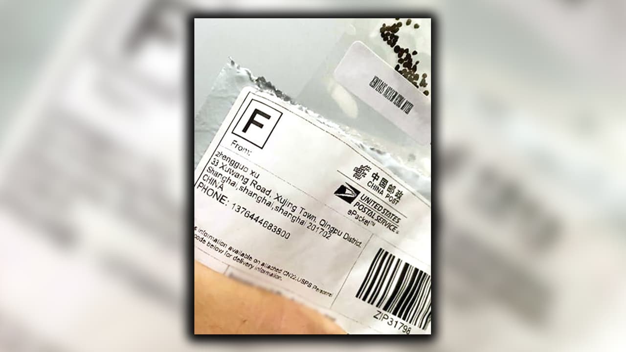 Los paquetes se enviaron por correo y pueden tener escritos en chino.