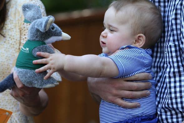 Le gustó tanto el pequeño marsupial que le regalaron un muñeco de peluche. Más videos de Chismes aquí.