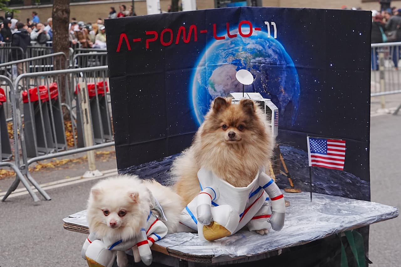 Monstruos, piratas y astronautas caninos participaron en desfile de Halloween de Tompkins Square en NYC