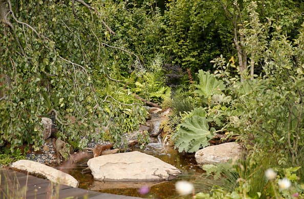 Jake aseguró: "Hicimos los peldaños porque el príncipe George los quería", refiriéndose al camino hecho con piedras que se colocó sobre una superfie con agua que existe en el jardín (foto).