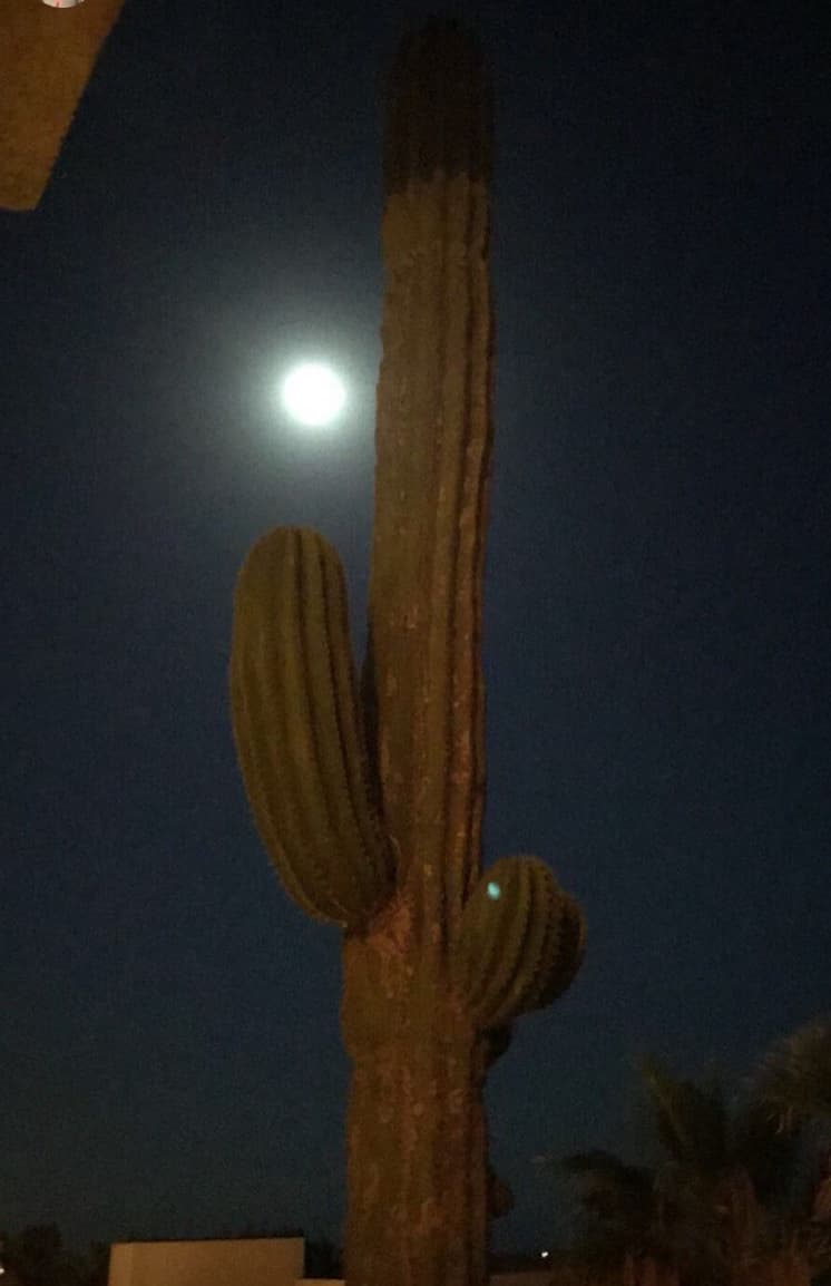 Aunque durante los primeros días de este viaje no se sabía dónde se encontraban, finalmente el misterio fue revelado.