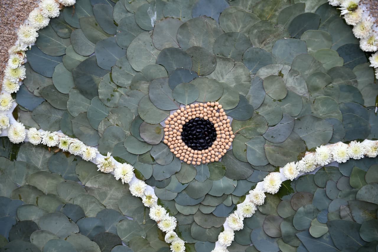 Miles de personas disfrutaron de este tradicional desfile lleno de música y color