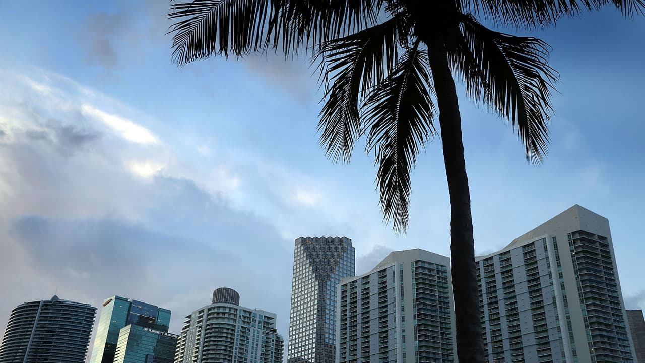¡Vuelve el calor a Miami!: sensación de 90 grados Fahrenheit en pleno mes de noviembre