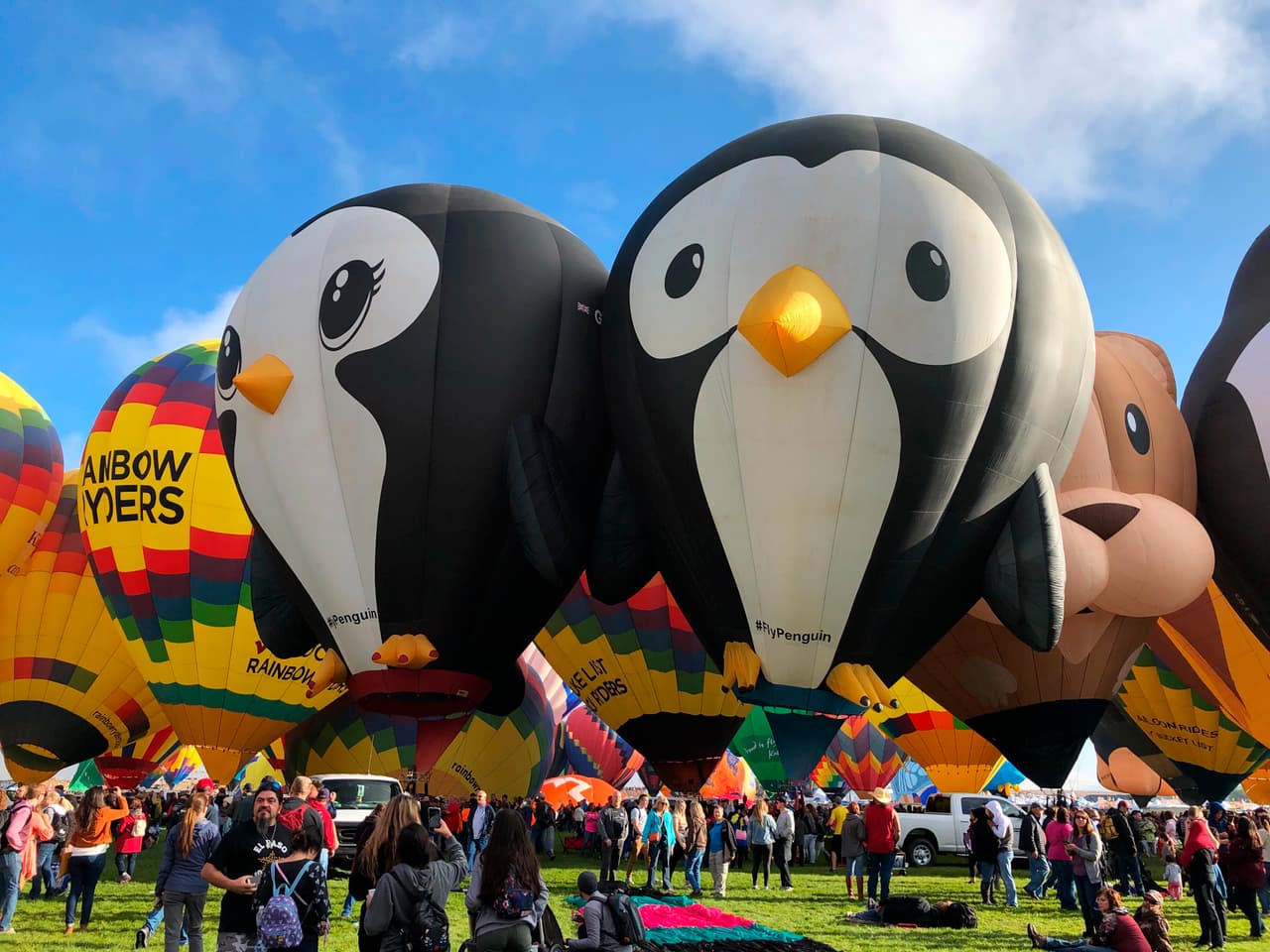 Se espera que decenas de miles de espectadores disfruten del evento, que en total durará nueve días. La fiesta atrae a pilotos de globos de todo el mundo y de al menos 41 estados de EEUU.