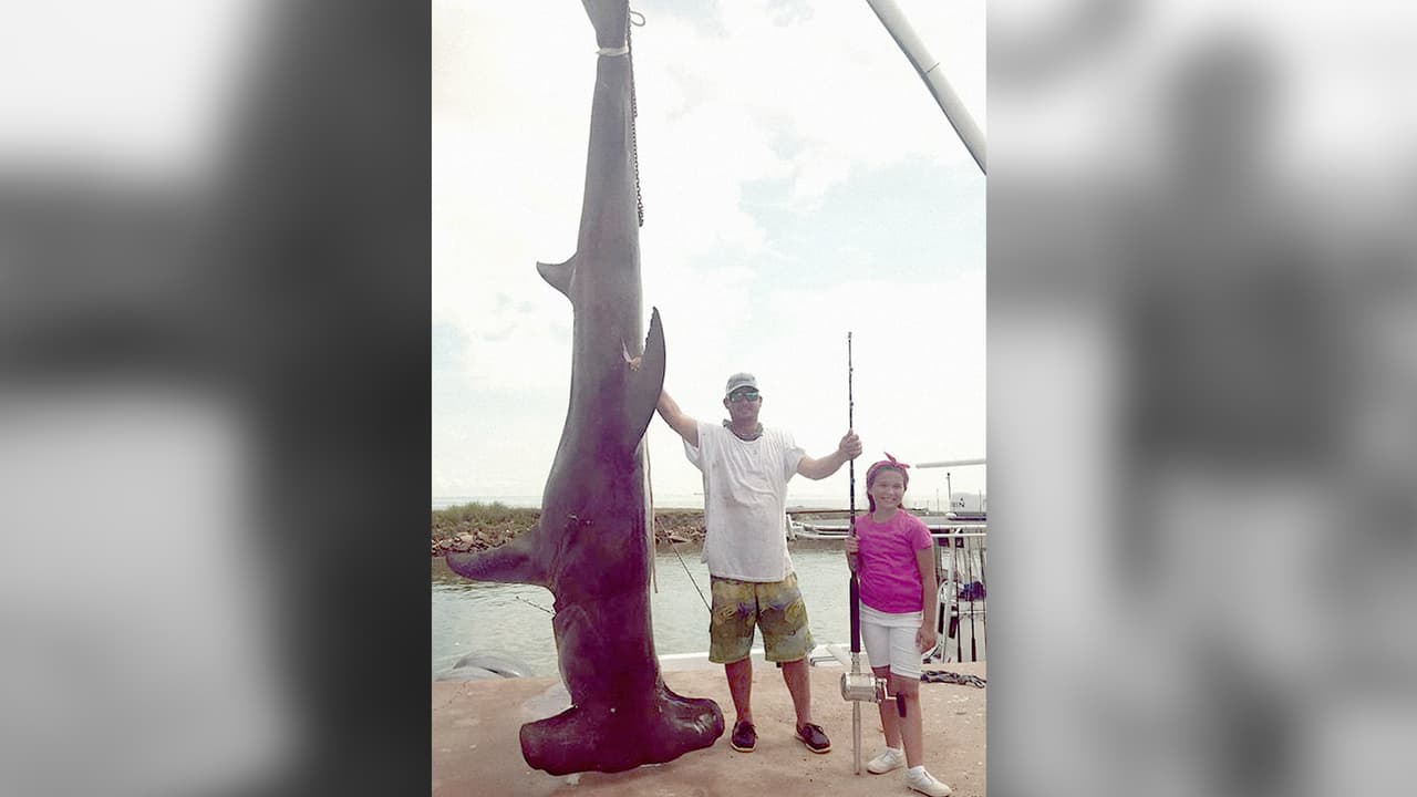 Atrapan un tiburón martillo de más de 1,000 libras en aguas del golfo de México de la zona costera de Texas