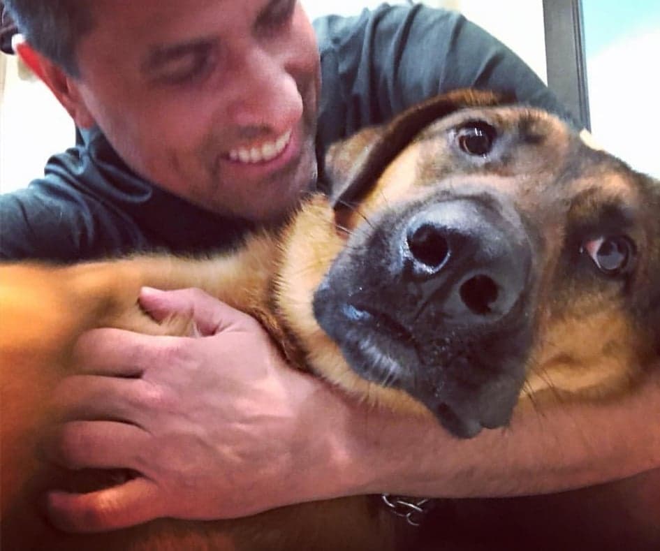 Según contó en la red social, el perro comenzó a cojear y lo llevó al veterinario. Después de realizarle algunos estudios, se percataron que padece una 
<b>miocardiopatía dilatada</b>.