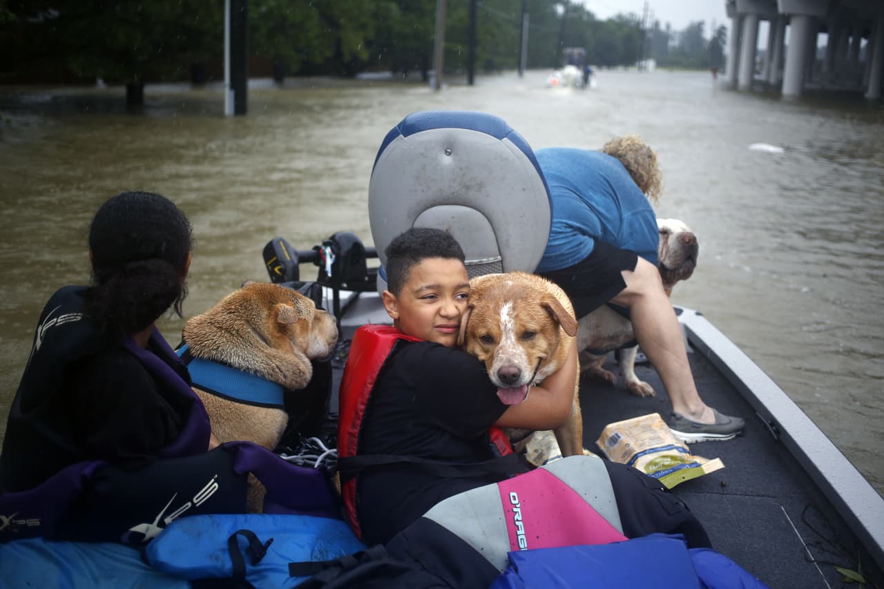 Afectados se ponen a salvo con sus mascotas en botes de voluntarios. Spring, Texas.