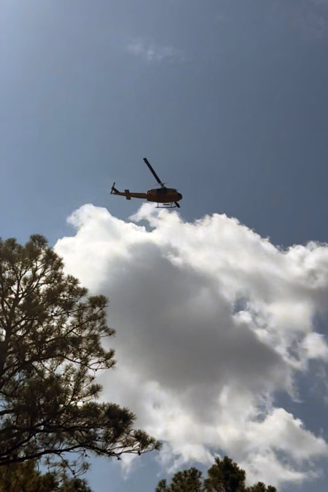 <a href="https://www.univision.com/local/north-carolina-wuvc/duke-energy-trabaja-para-restablecer-luz-tras-colapso-de-torre-en-erwin" target="_blank">Las autoridades pidieron precaución</a> a los conductores que circulen por las vías cercanas al incendio y reiteraron la prohibición de usar drones cerca o sobre la zona,
<b> ya que se trata de una actividad ilegal</b>. 
<br>
<br>Asimismo, adviritieron que cualquier dron que interfiera con las operaciones aéreas pone en riesgo la seguridad de los bomberos, así como la de los residentes y sus propiedades.
<br>
