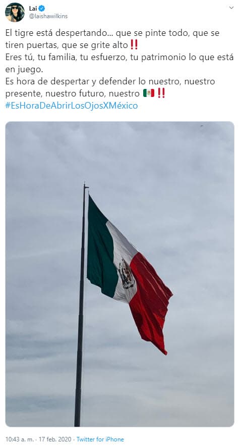 Pidió a los mexicanos "despertar y defender lo nuestro".