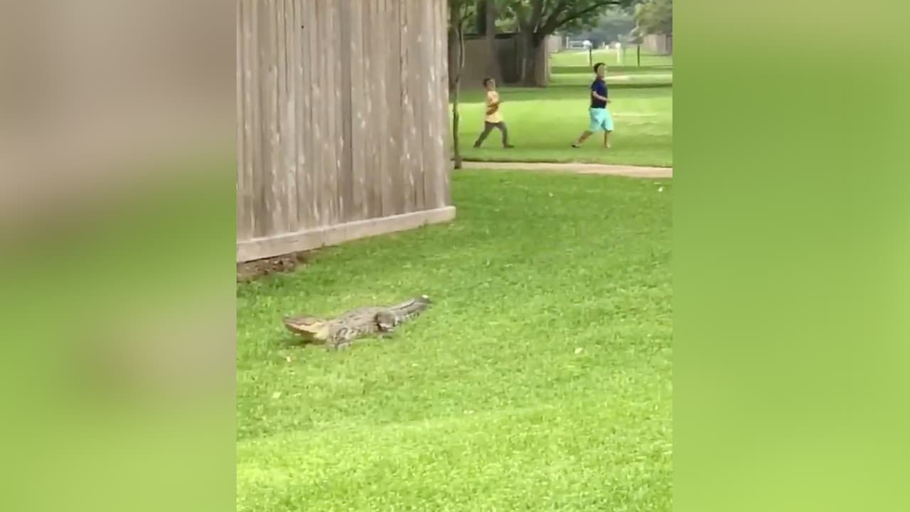 “Nosotros estábamos en la zona entregando un regalo cuando lo vimos caminando, fue una locura”, señaló.